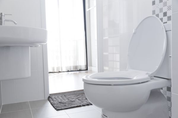Cost of Toilet Relocation in Sun City West