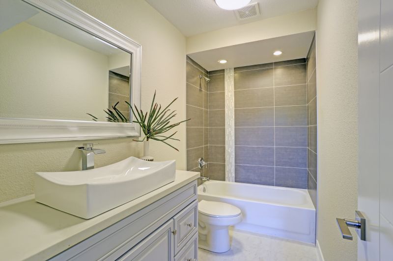 Top Tub To Shower Conversion Companies in Avondale, AZ